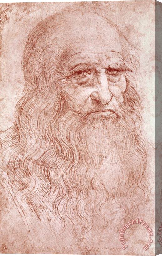 Leonardo da Vinci Portrait Of A Bearded Man Stretched Canvas Print / Canvas Art