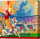 Stretched Canvas Print