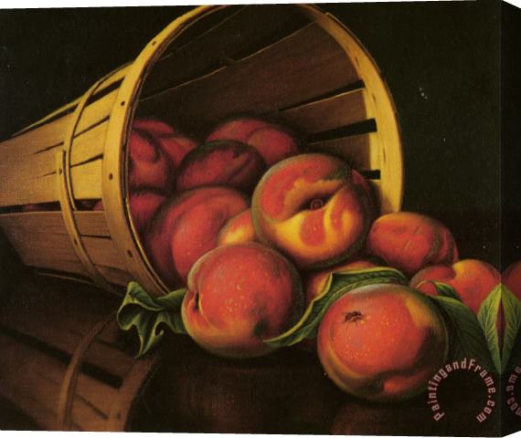 Levi Wells Prentice Basket of Peaches Stretched Canvas Print / Canvas Art