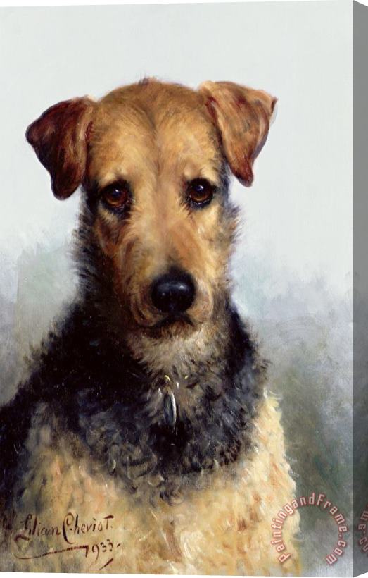 Lilian Cheviot Wire Fox Terrier Stretched Canvas Print / Canvas Art