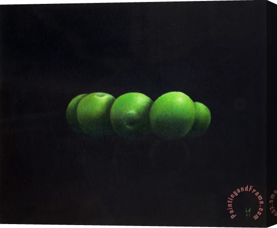 Lincoln Seligman Five Green Apples Stretched Canvas Painting / Canvas Art