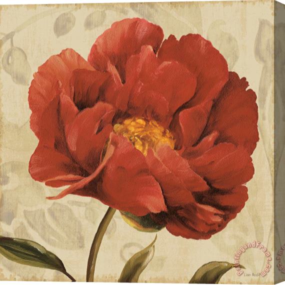 Lisa Audit Floral Romance II Stretched Canvas Print / Canvas Art