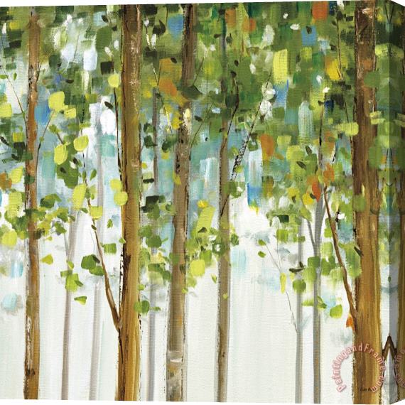 Lisa Audit Forest Study II Stretched Canvas Painting / Canvas Art