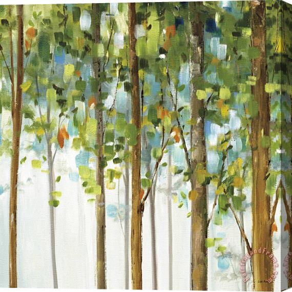 Lisa Audit Forest Study III Stretched Canvas Print / Canvas Art