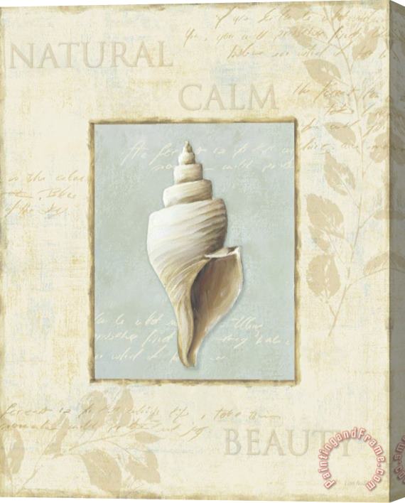 Lisa Audit Soothing Words Shells I Stretched Canvas Painting / Canvas Art