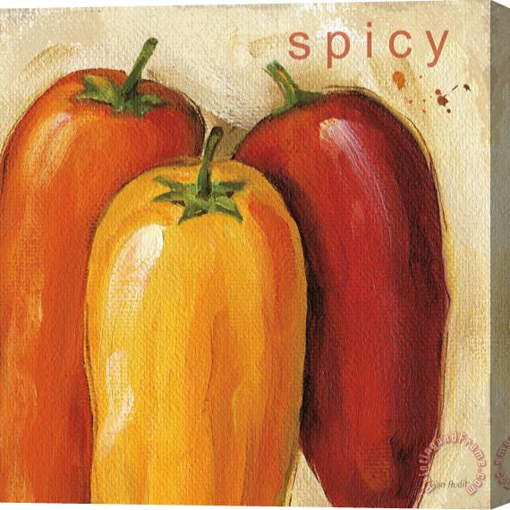 Lisa Audit Spicy Stretched Canvas Print / Canvas Art