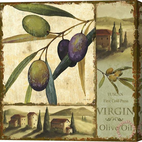 Lisa Audit Tuscan Delight II Stretched Canvas Print / Canvas Art