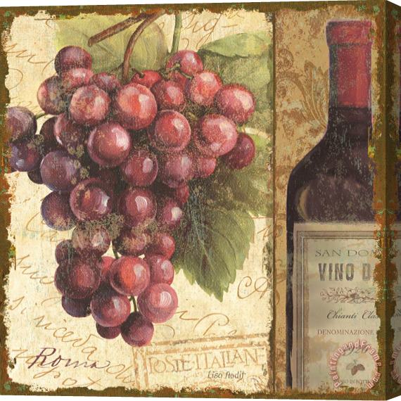 Lisa Audit Vino II Stretched Canvas Painting / Canvas Art