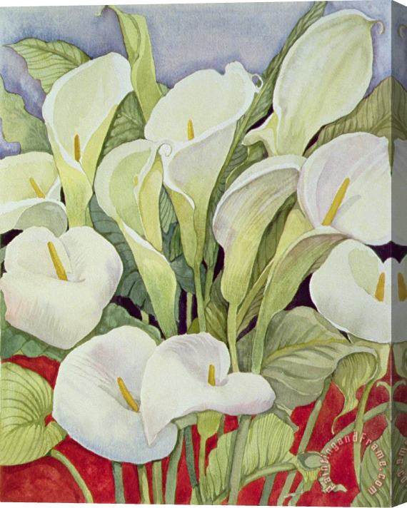 Llian Delevoryas Arum Lillies Stretched Canvas Print / Canvas Art