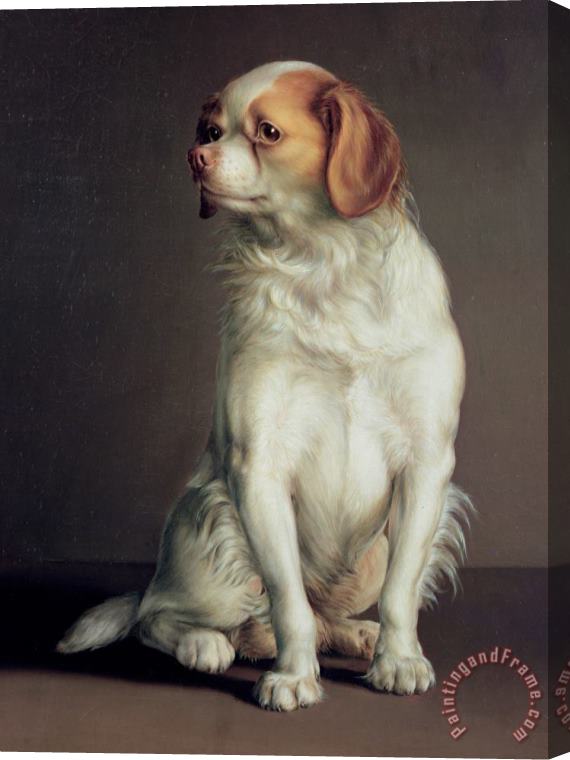 Louis Leopold Boilly Portrait Of A King Charles Spaniel Stretched Canvas Print / Canvas Art