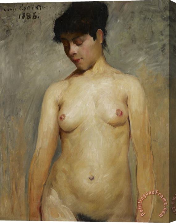 Lovis Corinth Nude Girl Stretched Canvas Print / Canvas Art