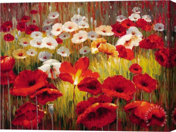 Lucas Santini Meadow Poppies II Stretched Canvas Painting / Canvas Art