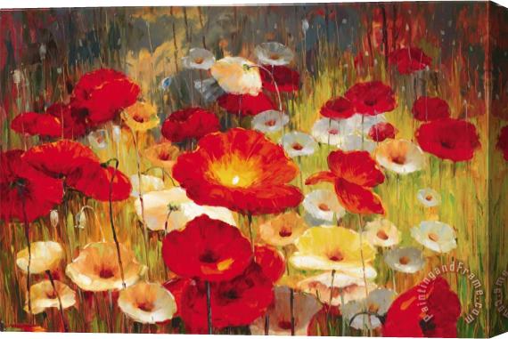 Lucas Santini Meadow Poppies Stretched Canvas Print / Canvas Art