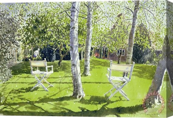 Lucy Willis Silver Birches Stretched Canvas Painting / Canvas Art