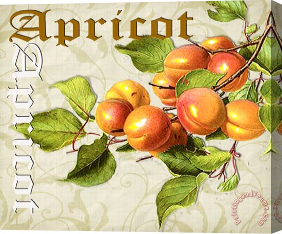 Lynell Withers Apricot Stretched Canvas Print / Canvas Art