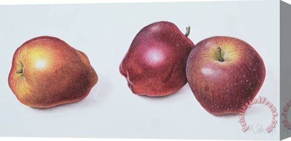 Margaret Ann Eden Red Apples Stretched Canvas Painting / Canvas Art