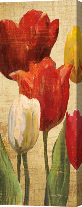 Marilyn Hageman Tulip Fantasy on Cream II Stretched Canvas Painting / Canvas Art