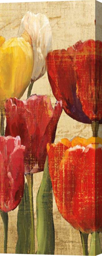 Marilyn Hageman Tulip Fantasy on Cream III Stretched Canvas Painting / Canvas Art