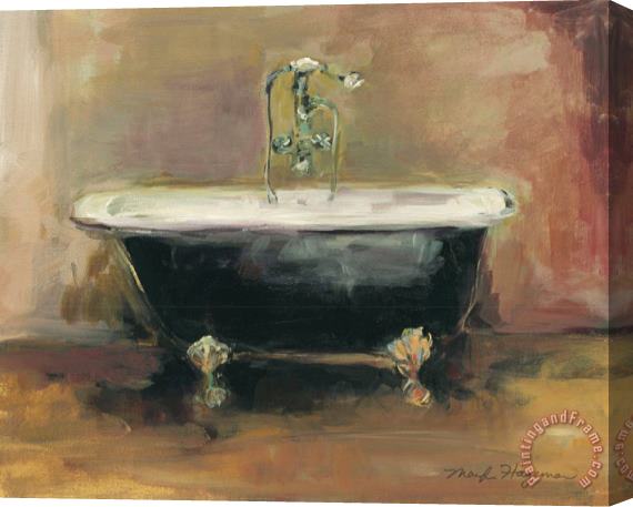 Marilyn Hageman Vintage Tub I Stretched Canvas Painting / Canvas Art
