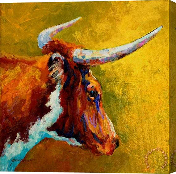 Marion Rose A Couple Of Pointers - Longhorn Steer Stretched Canvas Print / Canvas Art
