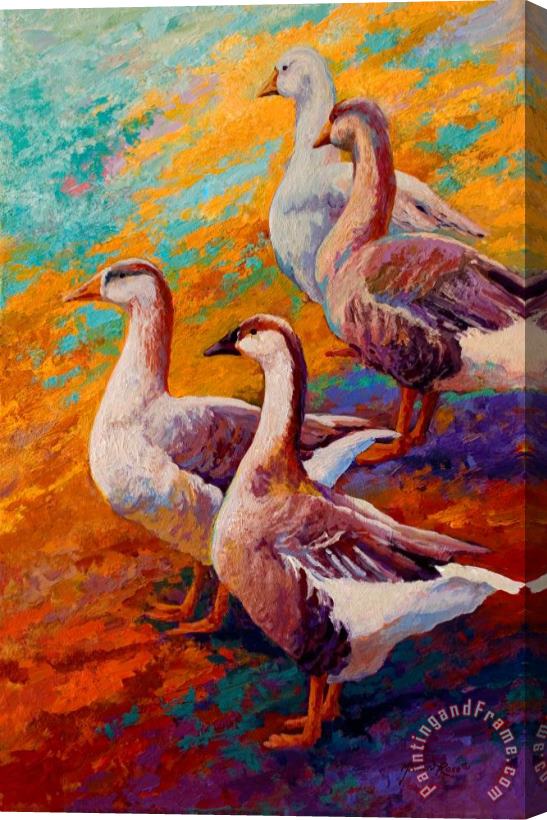 Marion Rose A Gaggle Of Four - Geese Stretched Canvas Print / Canvas Art
