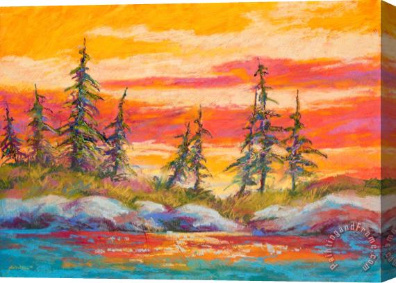 Marion Rose Alaskan Skies Stretched Canvas Painting / Canvas Art