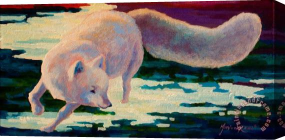 Marion Rose Arctic Fox Stretched Canvas Print / Canvas Art