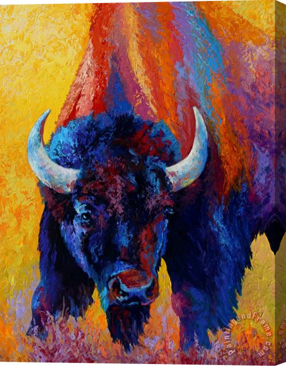Marion Rose Back Off - Bison Stretched Canvas Painting / Canvas Art