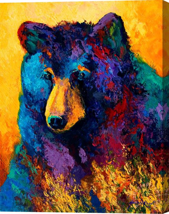Marion Rose Bear Pause - Black Bear Stretched Canvas Painting / Canvas Art