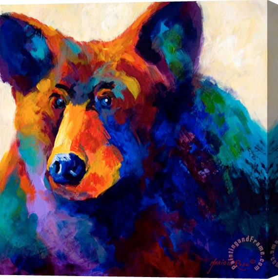 Marion Rose Beary Nice - Black Bear Stretched Canvas Painting / Canvas Art