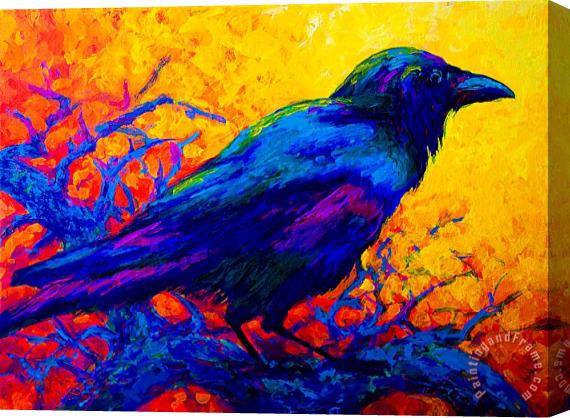 Marion Rose Black Onyx - Raven Stretched Canvas Painting / Canvas Art