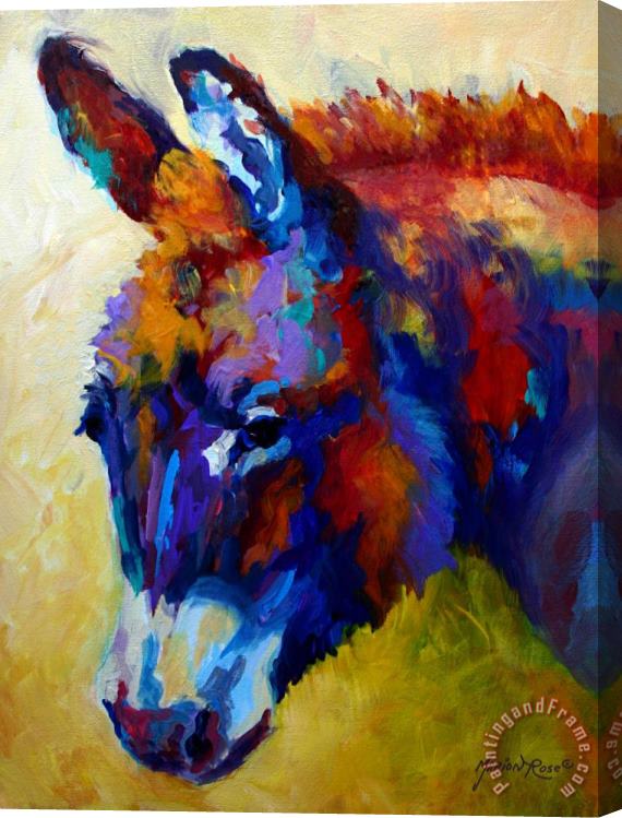 Marion Rose Burro II Stretched Canvas Painting / Canvas Art