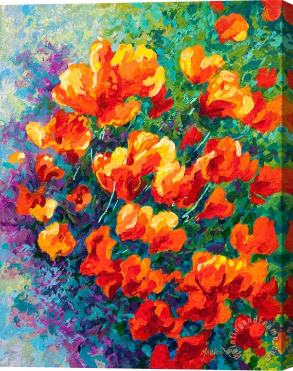 Marion Rose California Poppies Stretched Canvas Print / Canvas Art