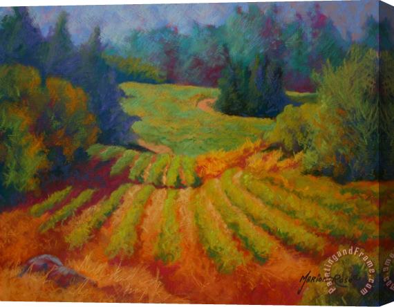 Marion Rose Columbia Valley Vineyard Stretched Canvas Print / Canvas Art
