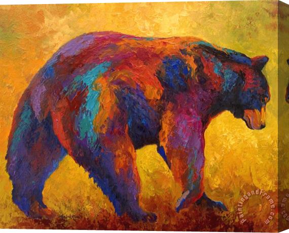 Marion Rose Daily Rounds - Black Bear Stretched Canvas Print / Canvas Art