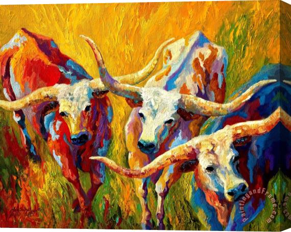 Marion Rose Dance Of The Longhorns Stretched Canvas Print / Canvas Art