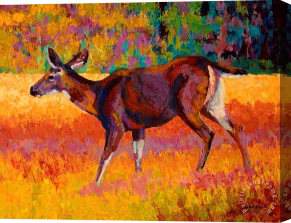 Marion Rose Doe III Stretched Canvas Print / Canvas Art