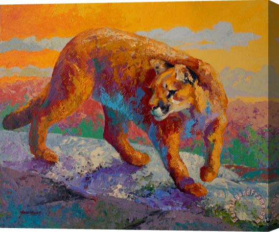Marion Rose Down Off The Ridge - Cougar Stretched Canvas Print / Canvas Art