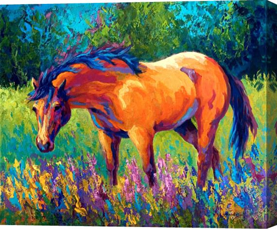 Marion Rose Dun Mare Stretched Canvas Painting / Canvas Art