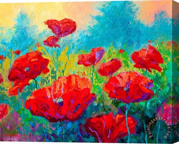 Marion Rose Field Of Red Poppies Stretched Canvas Print / Canvas Art