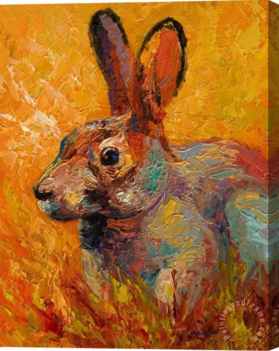 Marion Rose Forest Rabbit III Stretched Canvas Painting / Canvas Art