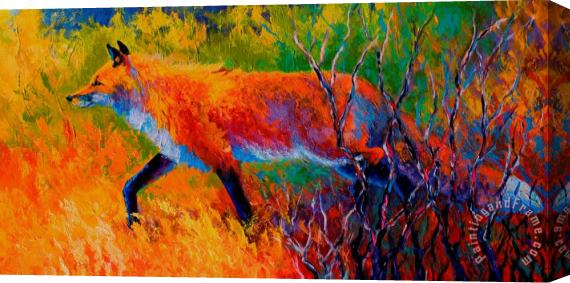 Marion Rose Foxy - Red Fox Stretched Canvas Print / Canvas Art