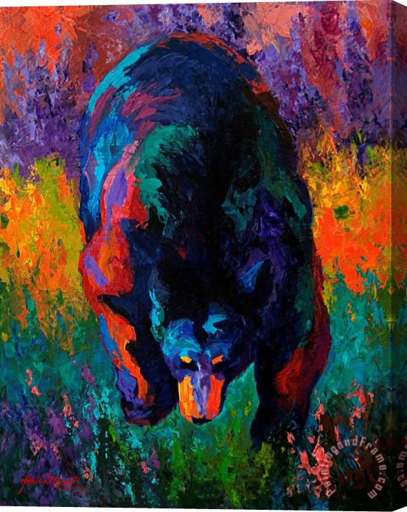 Marion Rose Grounded - Black Bear Stretched Canvas Print / Canvas Art