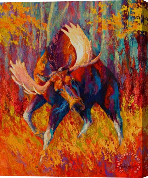 Marion Rose Imminent Charge - Bull Moose Stretched Canvas Print / Canvas Art