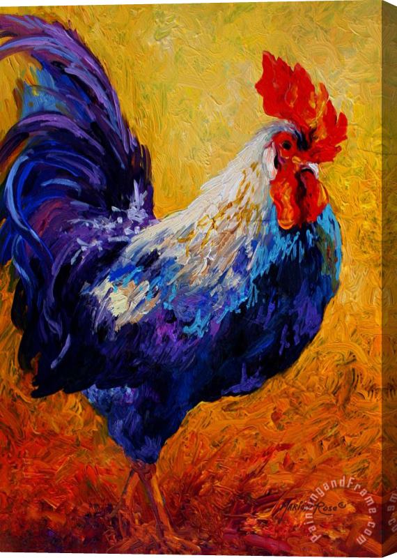 Marion Rose Indy - Rooster Stretched Canvas Print / Canvas Art
