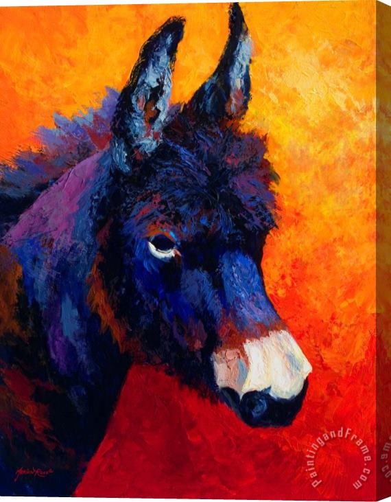 Marion Rose Little Jack - Burro Stretched Canvas Painting / Canvas Art
