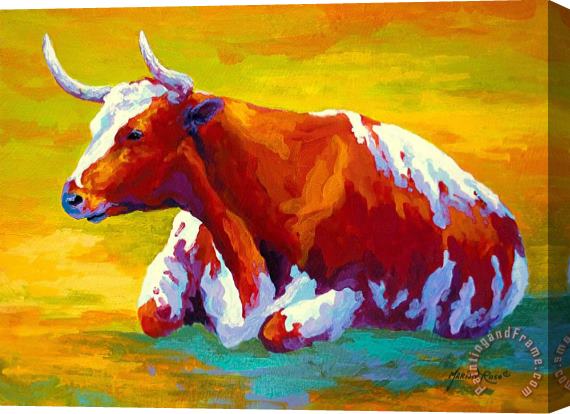 Marion Rose Longhorn Cow Stretched Canvas Print / Canvas Art