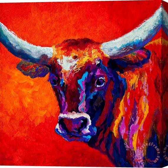 Marion Rose Longhorn Steer Stretched Canvas Painting / Canvas Art