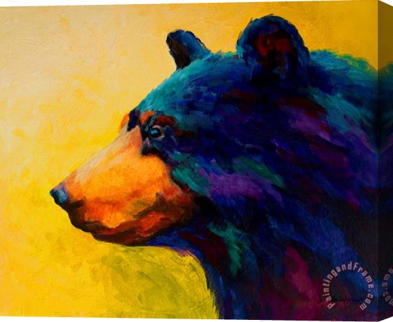 Marion Rose Looking On II - Black Bear Stretched Canvas Print / Canvas Art