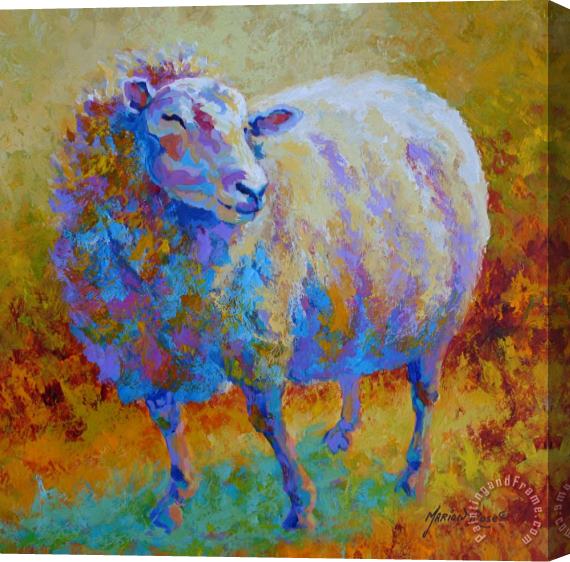 Marion Rose Me Me Me - Sheep Stretched Canvas Painting / Canvas Art